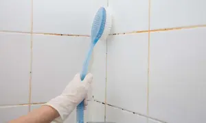 Jak usunąć czarną pleśń z łazienki i zapobiec jej powrotowi