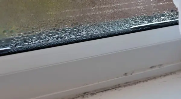 Dlaczego mam zaparowane okna w domu? Oto przyczyny i rozwiązania
