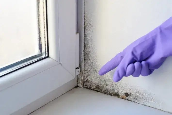 Zdjęcie Jak usunąć pleśń z silikonu na oknie - skuteczne metody i porady